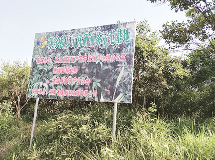 KKPAY钱包 -轻松支付,放心选择