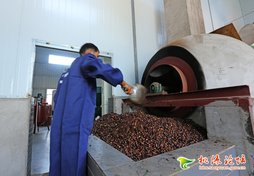 KKPAY钱包,油茶莳植生产加工销售,植物油莳植生产加工销售