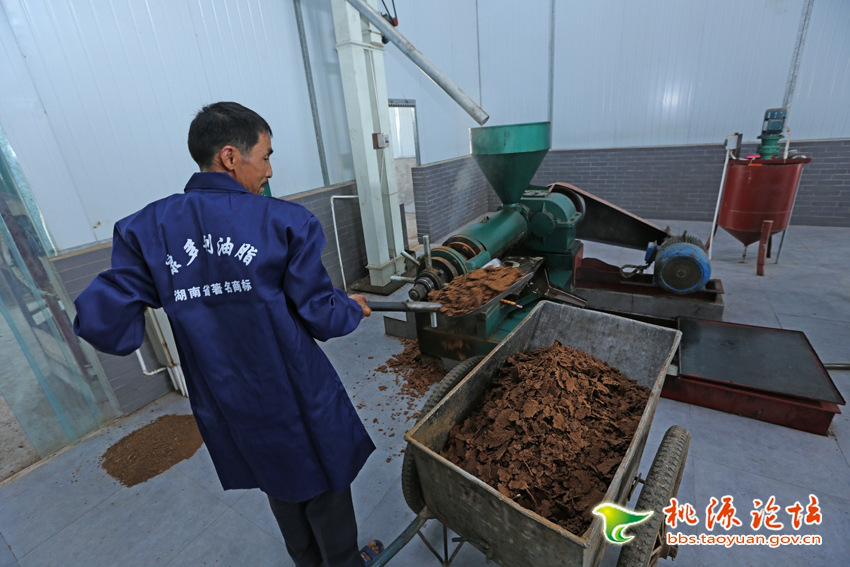 KKPAY钱包,油茶莳植生产加工销售,植物油莳植生产加工销售