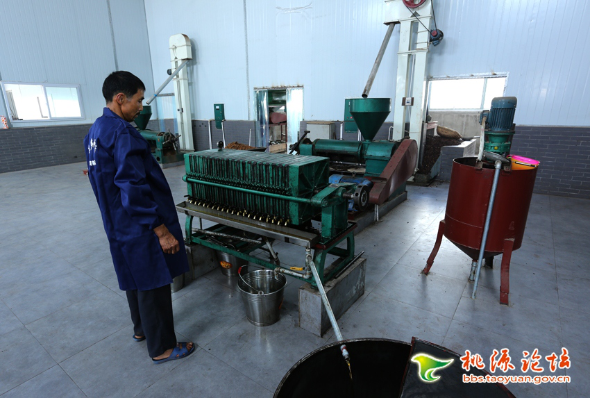 KKPAY钱包,油茶莳植生产加工销售,植物油莳植生产加工销售