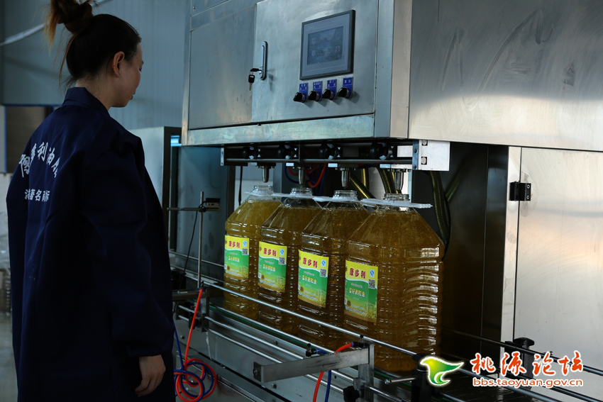 KKPAY钱包,油茶莳植生产加工销售,植物油莳植生产加工销售