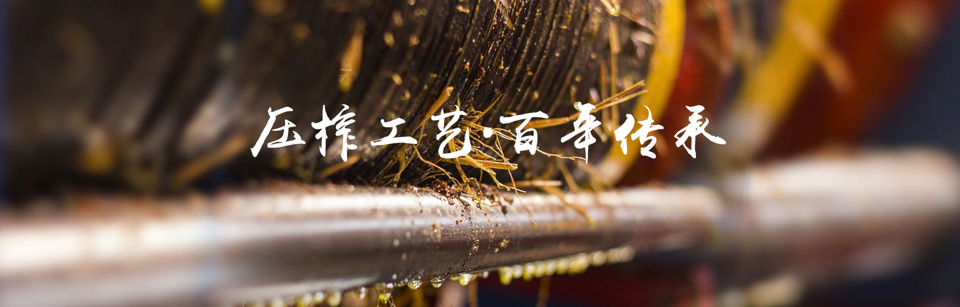 KKPAY钱包_油茶莳植生产加工销售|植物油莳植生产加工销售