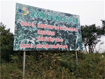 KKPAY钱包,油茶莳植生产加工销售,植物油莳植生产加工销售